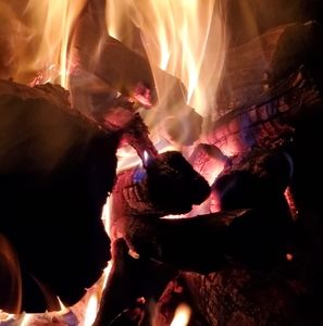 Meet your Posher, Kenneth